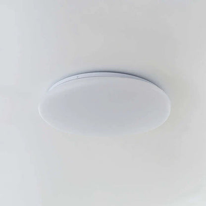 Organiczna lampa sufitowa LED — naturalny kształt kamienia, 4 rozmiary | Norivo Norivo