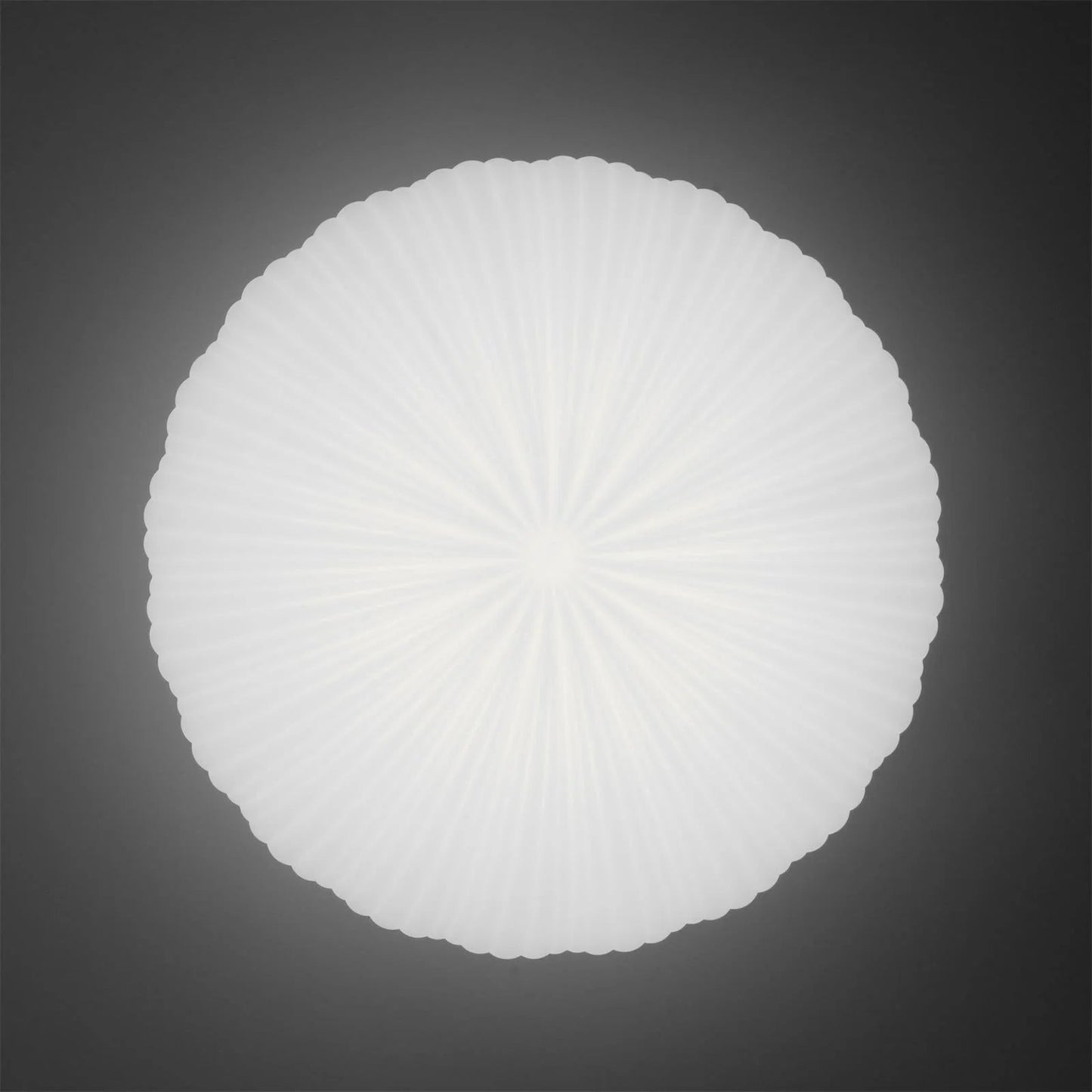 Lampa sufitowa kopułowa — inspirowana muszlą, styl japandi | Norivo Norivo
